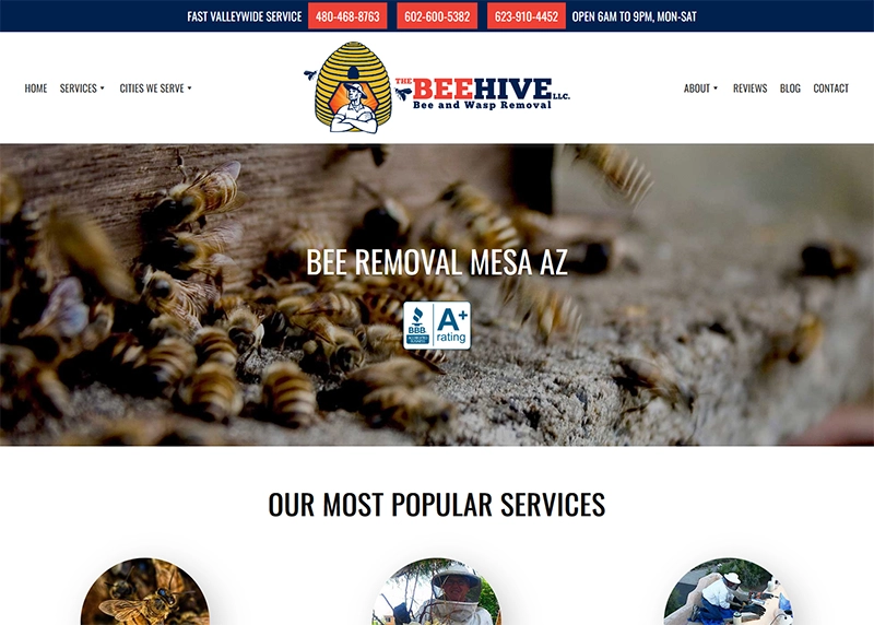 Pest Control Web Design