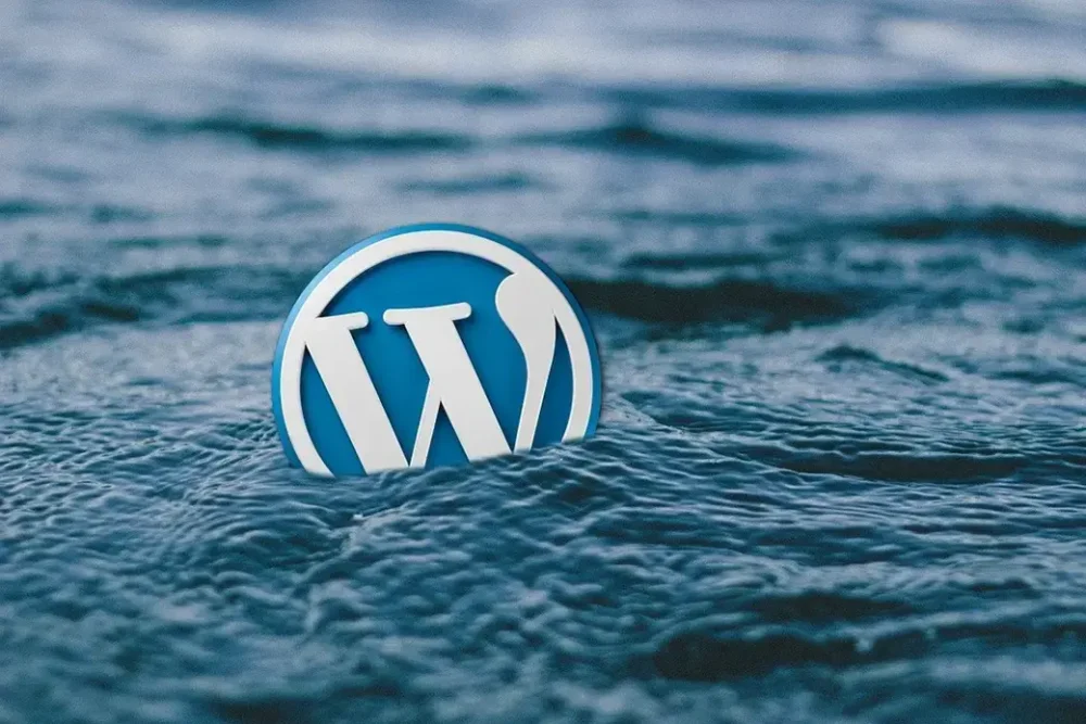 Why Update WordPress Plugins