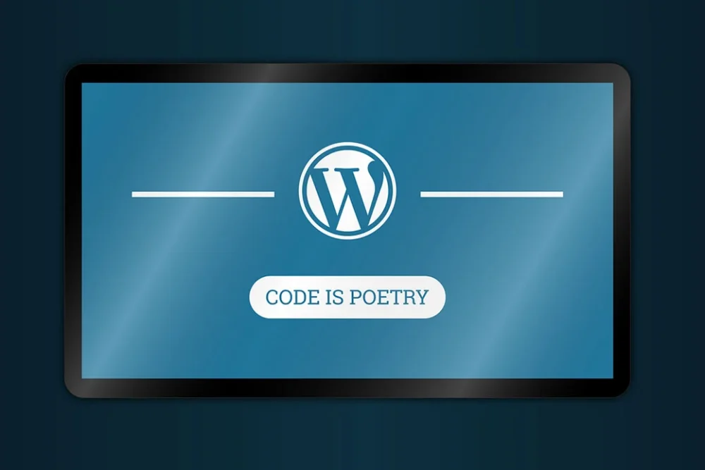 What are WordPress Widgets?