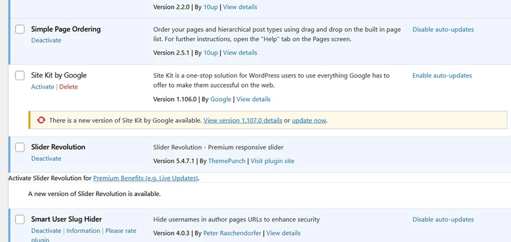 What are WordPress Plugin Auto Updates