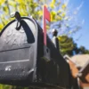 Mailbox with Domain Renewal Letter