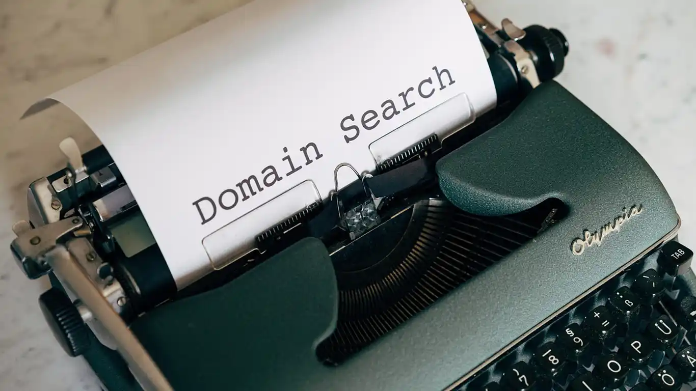 Domain Extension Search