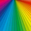 Web Design Color Palette