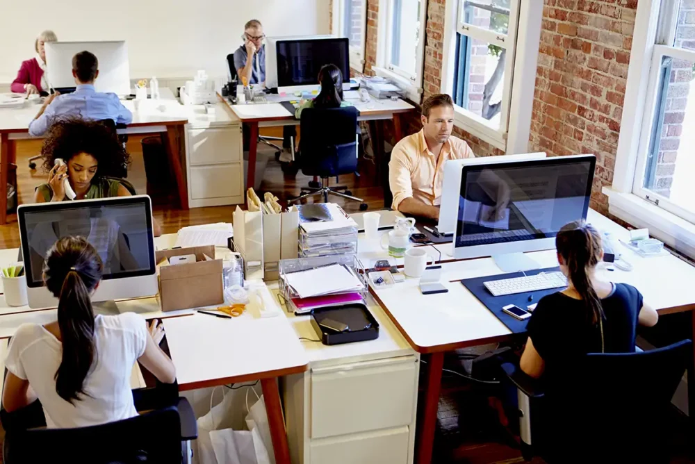 Web designers working in an office